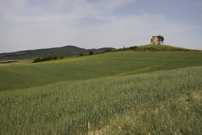 Toscane 09 - 082 - Paysages